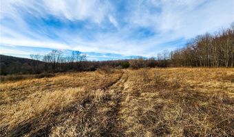 Quigg Hollow Road, Andover, NY 14806
