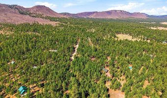 11 County Road 2135, Alpine, AZ 85920