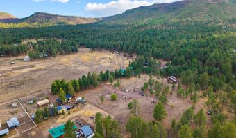 Tbd County Road N2144, Alpine, AZ 85920