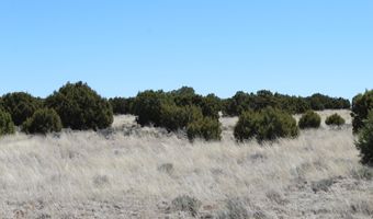 80 County Road 8620, Concho, AZ 85924