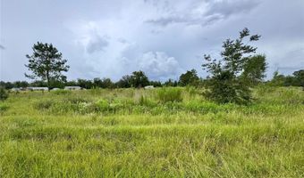NE 96 Avenue, Archer, FL 32618