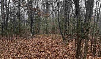 67 Old Wire Rd, Atkins, AR 72823