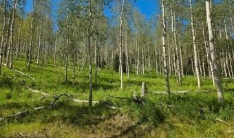 40 Acres Summit Mountain Rd, Brian Head, UT 84719