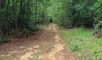 Low Water LN SW, Brookhaven, MS 39601