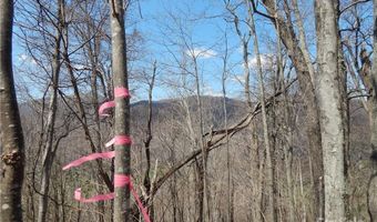 Gentry Farm Road, Aurora, NC 28743