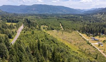 Lewis River Rd, Ariel, WA 98603