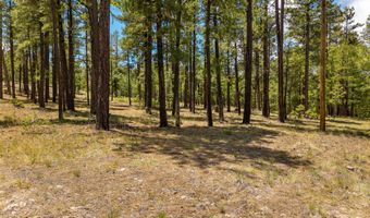 98 County Road 2266, Alpine, AZ 85920
