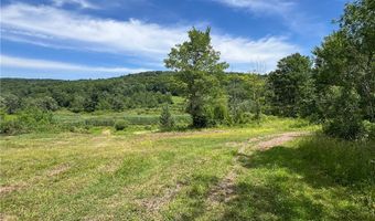 0 Woodland Hills Rd, Andes, NY 13731