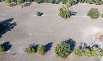 County Road 236 lot 5, Bell, FL 32619