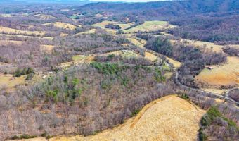 Puppy Creek, Amherst, VA 24521