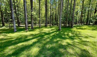 700 BATTLE MOUNTAIN Rd, Amissville, VA 20106