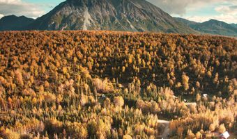 17261 N Rock Rose Ln, Chickaloon, AK 99674