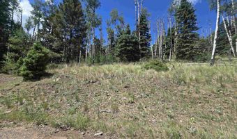 Plesant Valley lot 1302, Angel Fire, NM 87710