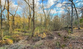 8667 W Hardwood Rd, Atoka, OK 74525