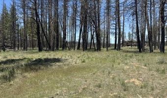 Off-Hicks Road, Bly, OR 97622