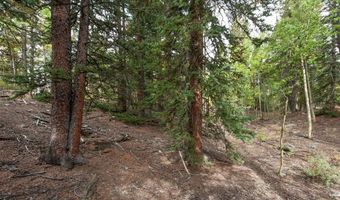 452 QUARTZVILLE Rd, Alma, CO 80420