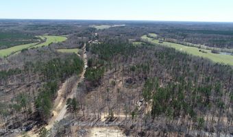 Tract 8 State Route 225, Bethel Springs, TN 38315