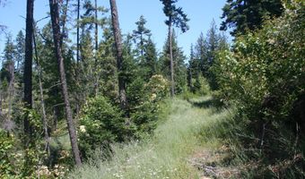 18 Majestic Mountain Rd, Clark Fork, ID 83811