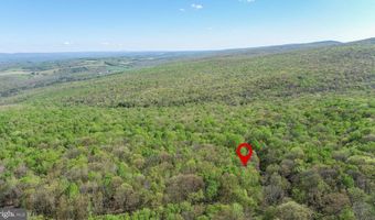 2461 OLD MORGANTOWN Rd E, Accident, MD 21520