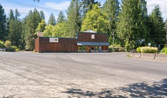 39913 NE 221ST Ave, Amboy, WA 98601