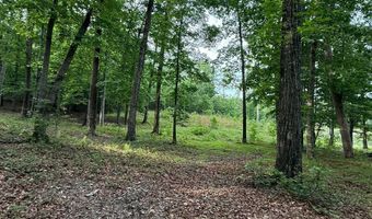 Lot 5 Purvis Road, Baldwin, GA 30511