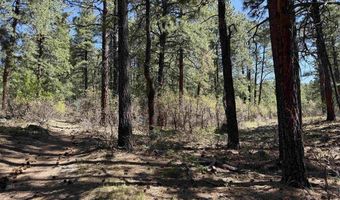 156 Lake View Cir, Bayfield, CO 81122