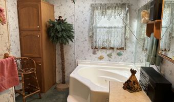 2054 Birchwood, Alger, MI 48610
