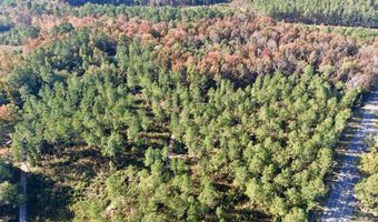 TBD Binnicker Bridge Road, Bamberg, SC 29003