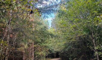 644 Ash-Harrel Loop, Abbeville, GA 31001