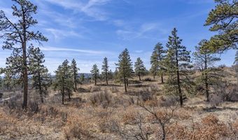 TBD Lot 5 Beaver Creek Ranch Drive, Bayfield, CO 81122