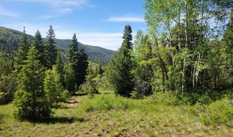 Braffits Creek Lot 61 & 62, Brian Head, UT 84719