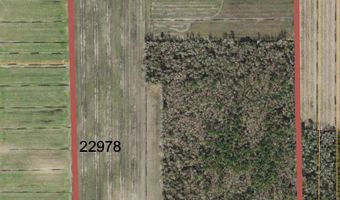 Sr 1918 Road, Aurora, NC 27806