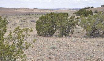 88 B County Road 5035, Concho, AZ 85924