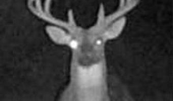 240 Magnolia Ln, Bennington, OK 74723