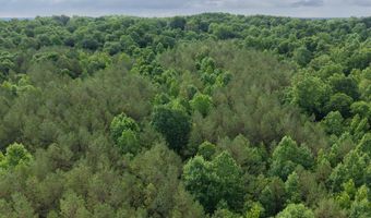 000 Fowler Rd, Beech Bluff, TN 38313