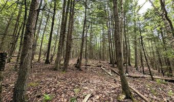 Stewart Road, Addison, NY 14801