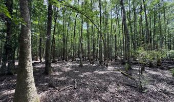 Fox Paw Court, Branchville, SC 29432