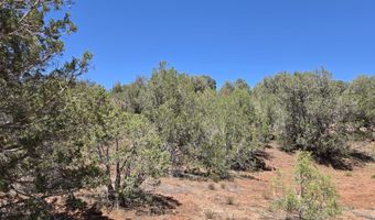 450 Arizona Rd, Ash Fork, AZ 86320