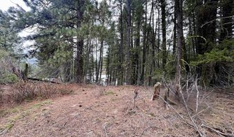 Tbd Hilltop Road 43 & 44, Cascade, ID 83611