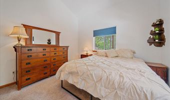 153 Wise Rd, Bailey, CO 80421