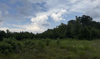 Nc 33 Off, Aurora, NC 27806