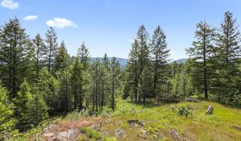 685 Blanchard Elk Rd, Blanchard, ID 83804