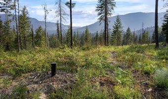 NKA Condor Dr, Clark Fork, ID 83811
