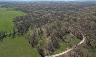 Tract 4 0000 Private Road 1184, Aurora, MO 65605
