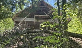 5436 Valley Rd, Alanson, MI 49706