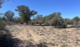 Home Stretch Road, Chino Valley, AZ 86323