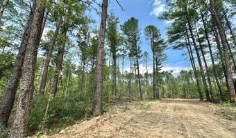 1 Champion Hill Rd, Bolton, MS 39041
