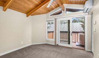 720 W Hopkins Ave Unit D, Aspen, CO 81611