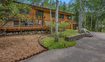 203 Eastwood Dr, Aspen, CO 81611