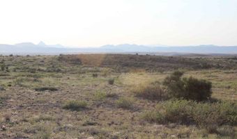Tract 8 Sierra La Rana, Alpine, TX 79830